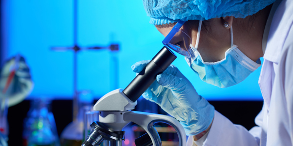 Examining With Microscope